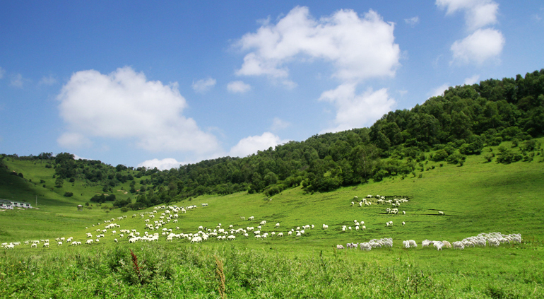 J9���Ź���(�й�)-�ٷ���վ