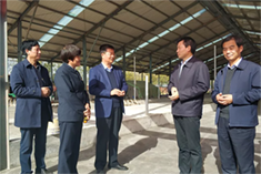 J9���Ź���(�й�)-�ٷ���վ