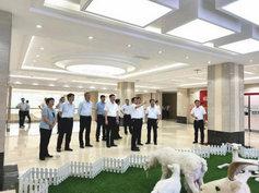 J9���Ź���(�й�)-�ٷ���վ