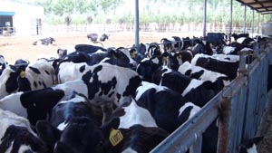 J9���Ź���(�й�)-�ٷ���վ